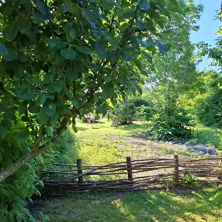 Les Tilleuls Nocleg ze śniadaniem Saint-Jean-d'Avelanne